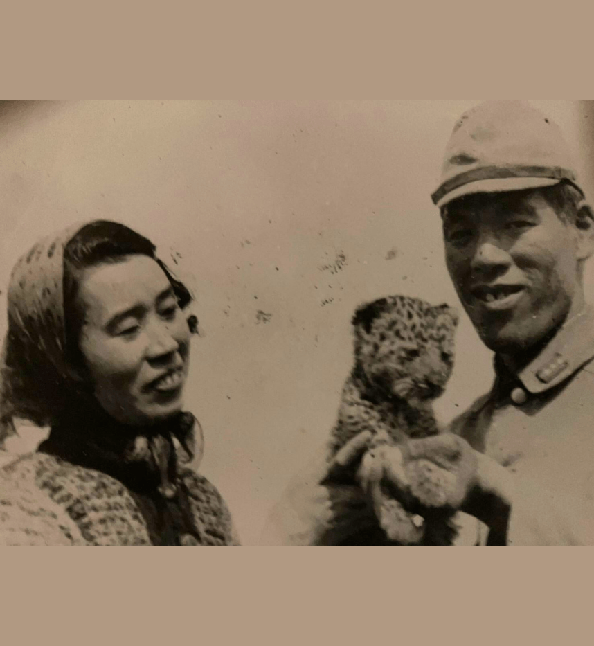 ハチの剥製と成岡正久