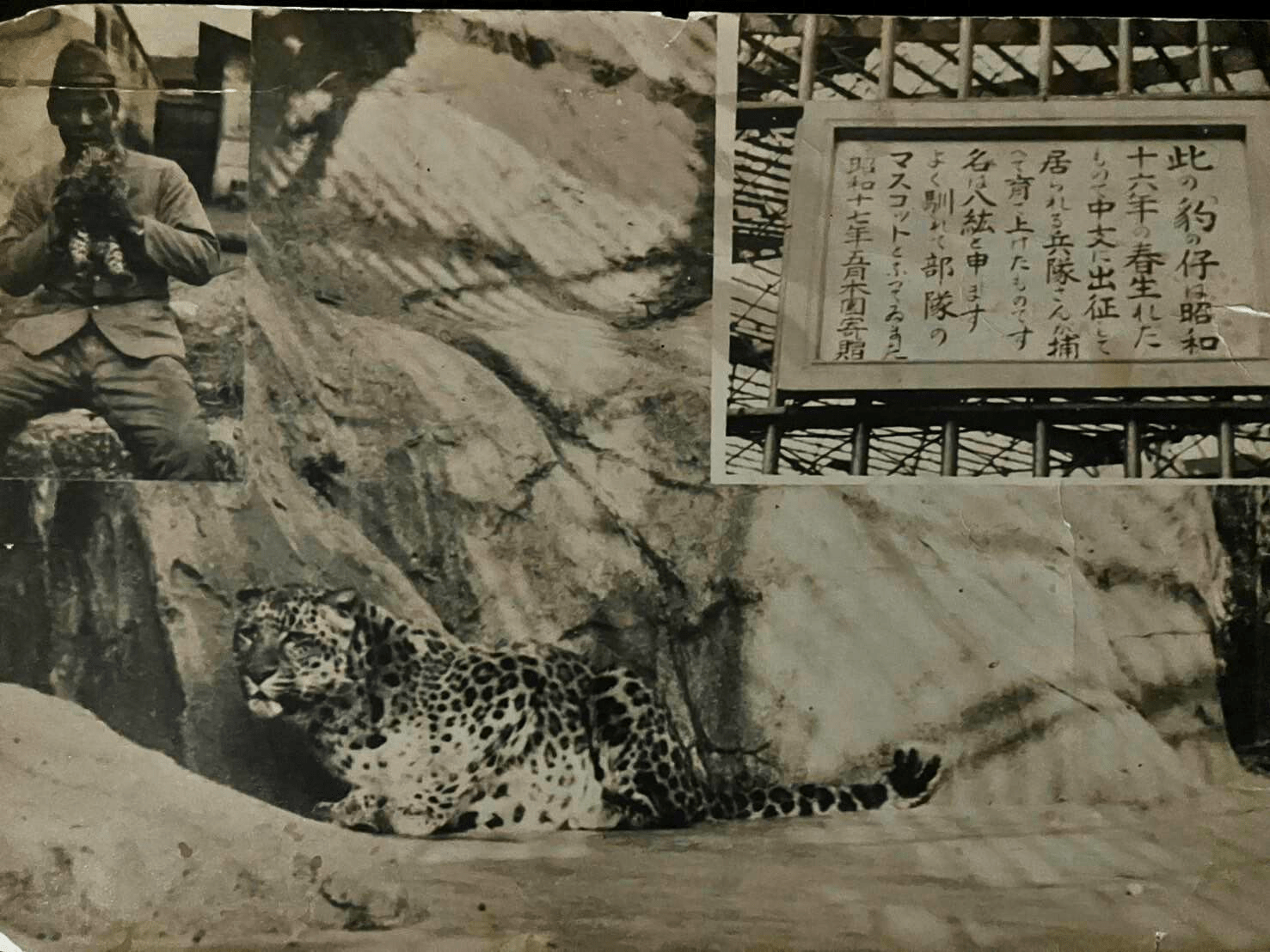 上野動物園から高知へ